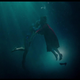 Image: Fox Searchlight